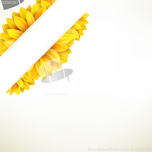 Image of Sunflower on white background. EPS 10