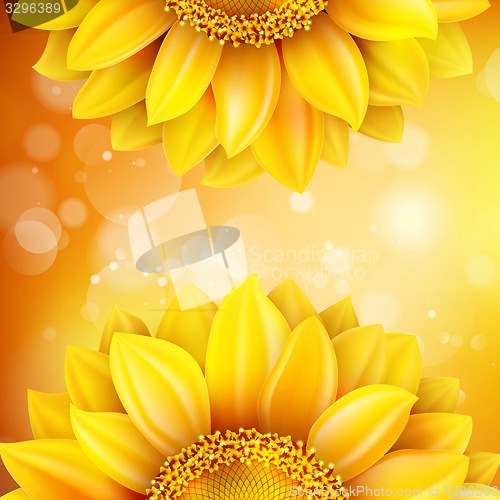 Image of Macro SunFlower Background. EPS 10