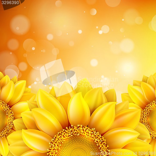 Image of Macro SunFlower Background. EPS 10