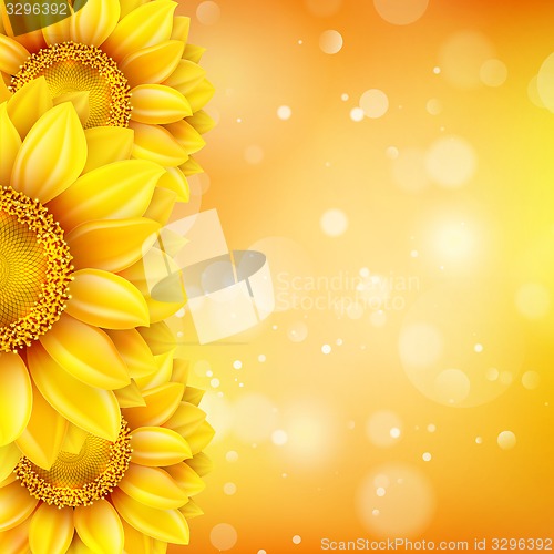 Image of Macro SunFlower Background. EPS 10