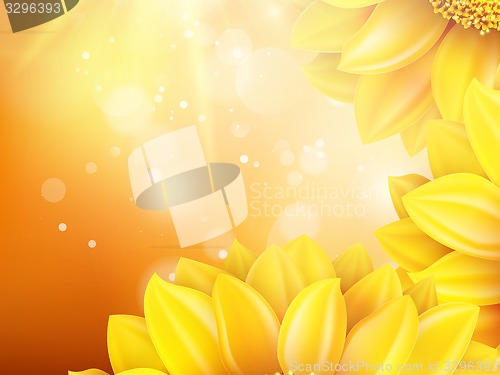 Image of Macro SunFlower Background. EPS 10