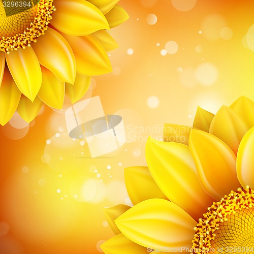 Image of Macro SunFlower Background. EPS 10