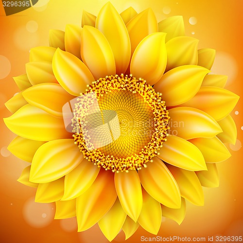 Image of Macro SunFlower Background. EPS 10