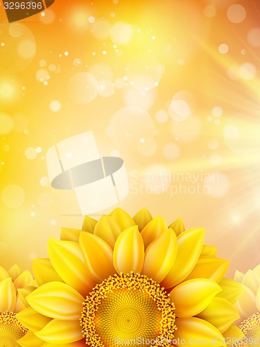 Image of Macro SunFlower Background. EPS 10