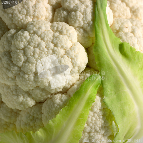 Image of cauliflower detail