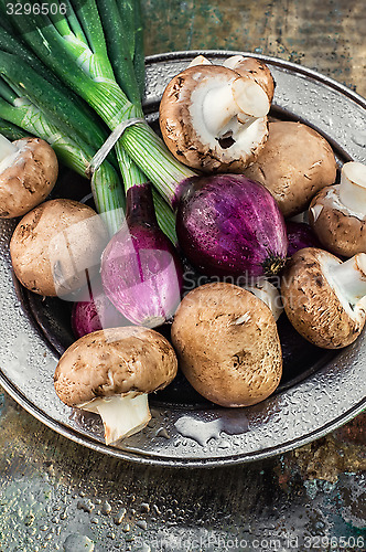 Image of summer vegetable harvest