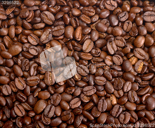 Image of roasted coffee beans