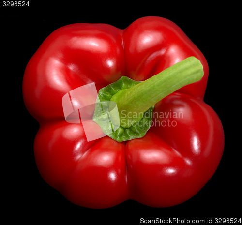 Image of bell pepper