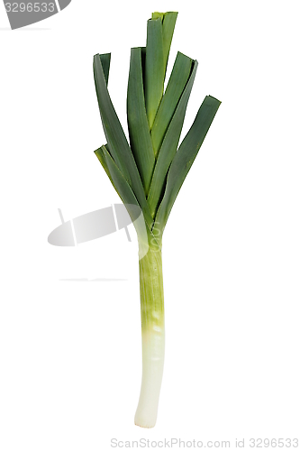 Image of Fresh leek isolated on white