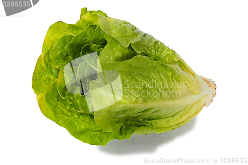 Image of Romaine lettuce