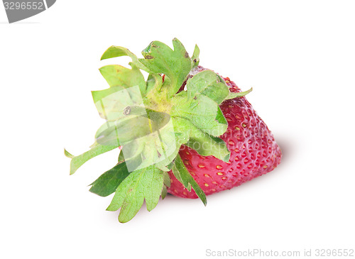Image of Single freshly strawberries backwards