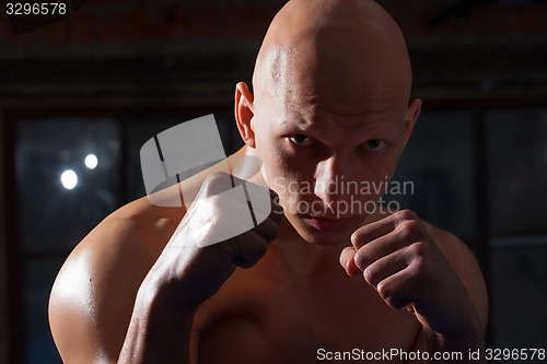 Image of portrait of a boxer