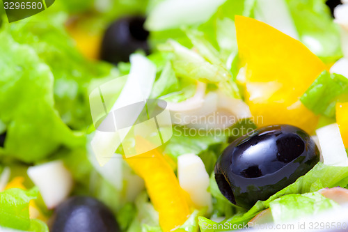 Image of Assorted green leaf lettuce with squid and black olives