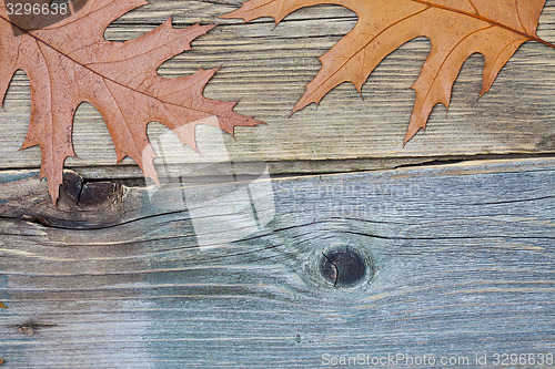 Image of dried leaves on surface of old boards