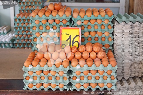 Image of Chicken Eggs