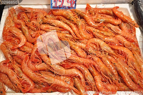 Image of Prawns