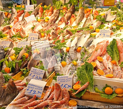 Image of Fish Market