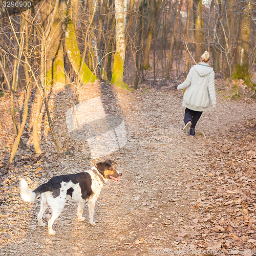 Image of Woman walking her mixed bred dog.