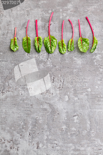 Image of beetroot leaves