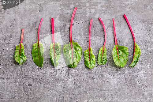 Image of beetroot leaves