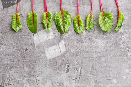 Image of beetroot leaves