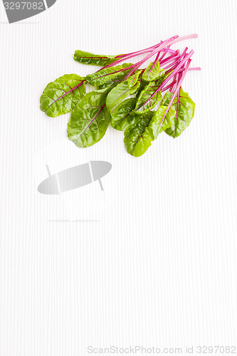 Image of beetroot leaves