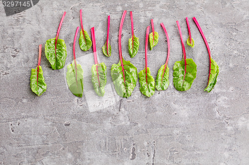 Image of beetroot leaves