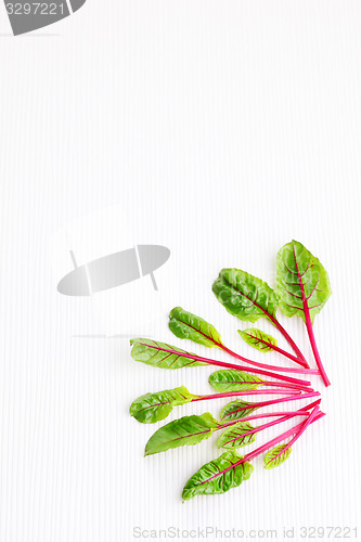 Image of beetroot leaves