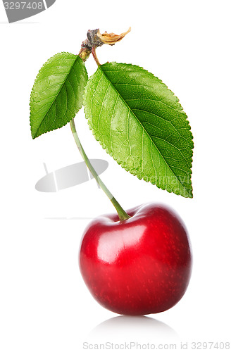 Image of Red cherry with leaves