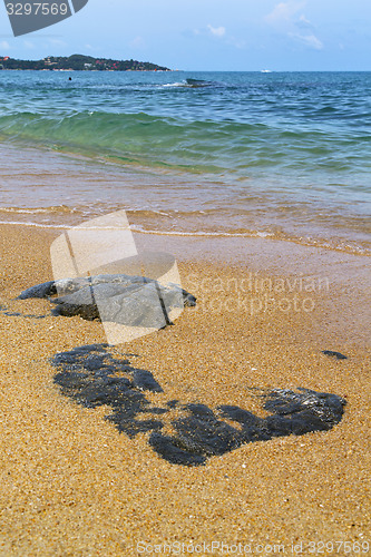 Image of kho samui     rocks in thailand  and south china sea 