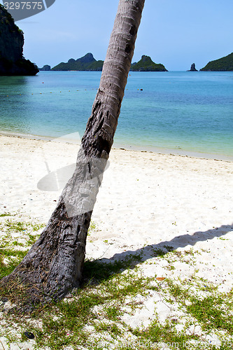 Image of asia kho phangan bay isle white  beach  tree  rocks  