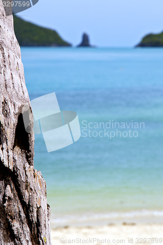Image of asia  phangan bay isle white  beach  tree     south china sea 