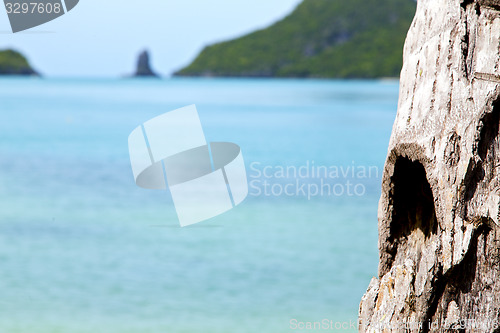 Image of   kho phangan bay isle    tree  rocks in thailand  and south chi