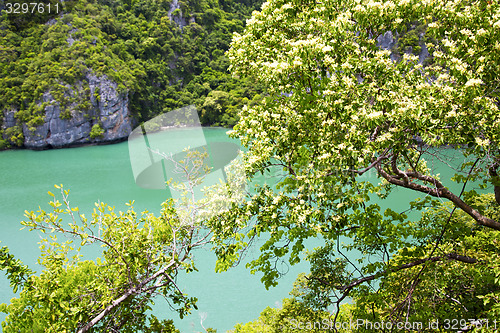 Image of   kho tao bay abstract  green lagoon and water  