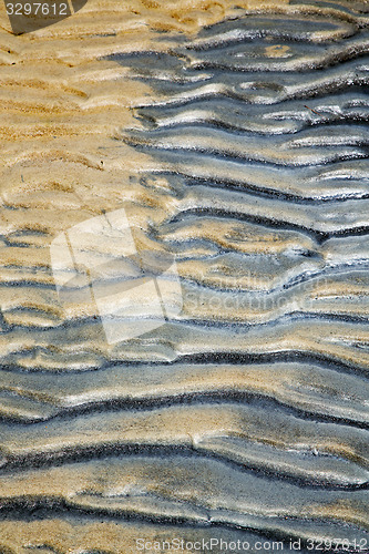 Image of   tao bay abstract of a  wet sand and the beach in  south china 