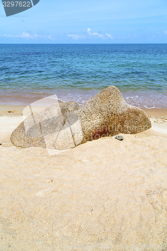 Image of kho s  asia isle white  beach  tree  rocks in thailand   