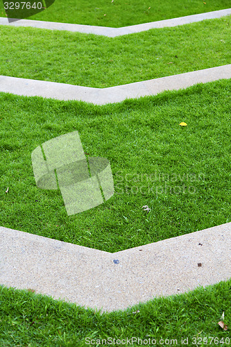 Image of thailand asia    garden grass in the  bangkok  