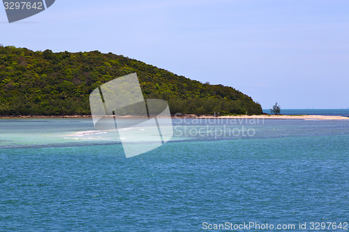 Image of  south china   thailand kho phangan     coastline green and tree