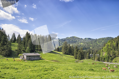 Image of Bavaria Alps near Spitzingsee