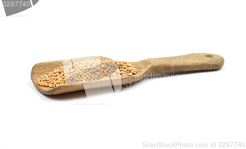 Image of Mustard seeds on shovel