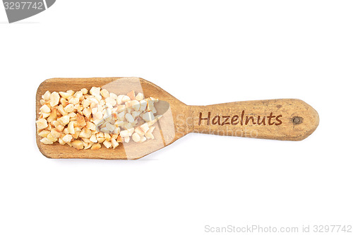 Image of Minced hazelnuts on shovel