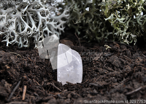 Image of Rock crystal on forest floor