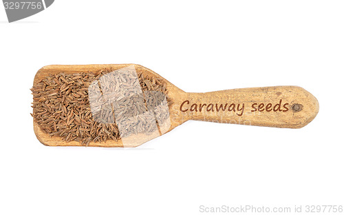 Image of Caraway seeds on shovel