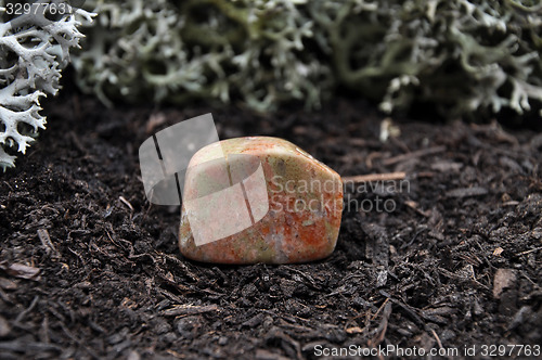 Image of Unakite on forest floor