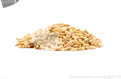 Image of Oat on white