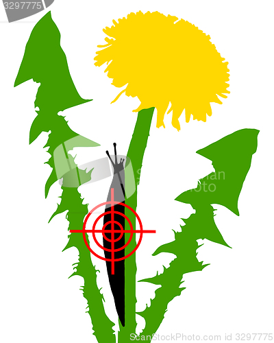 Image of Aim at slugs on dandelion