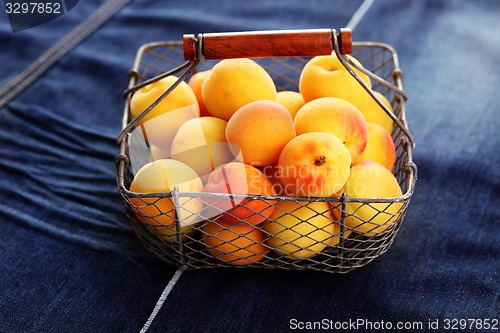 Image of fresh apricots