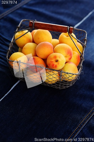 Image of fresh apricots