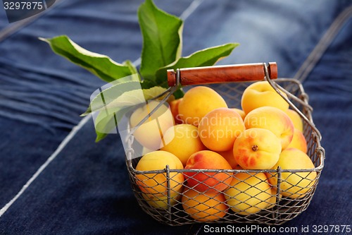 Image of fresh apricots