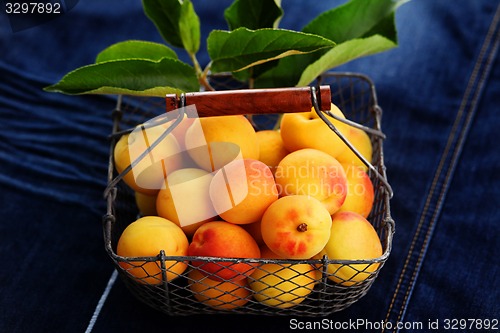 Image of fresh apricots